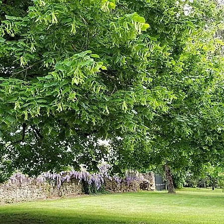 Le Clos De La Font Queroy Couette-café 3*