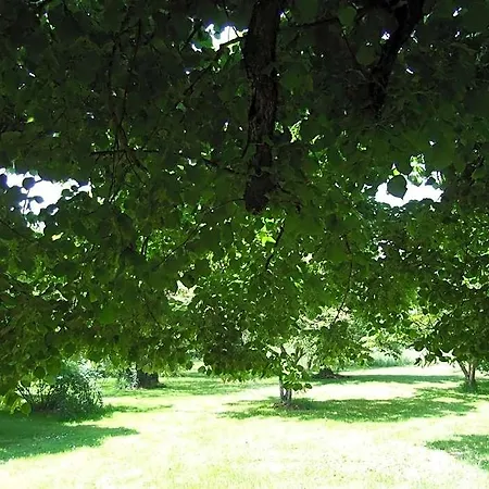 Le Clos De La Font Queroy 3* Vouthon