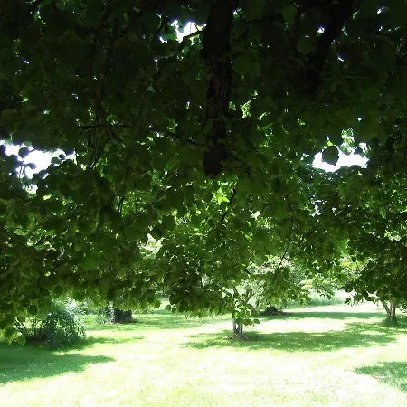 Le Clos De La Font Queroy Frühstückspension Vouthon