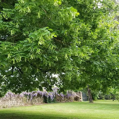 Le Clos De La Font Queroy 3* Vouthon