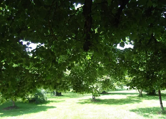 Le Clos De La Font Queroy Bed & Breakfast Vouthon